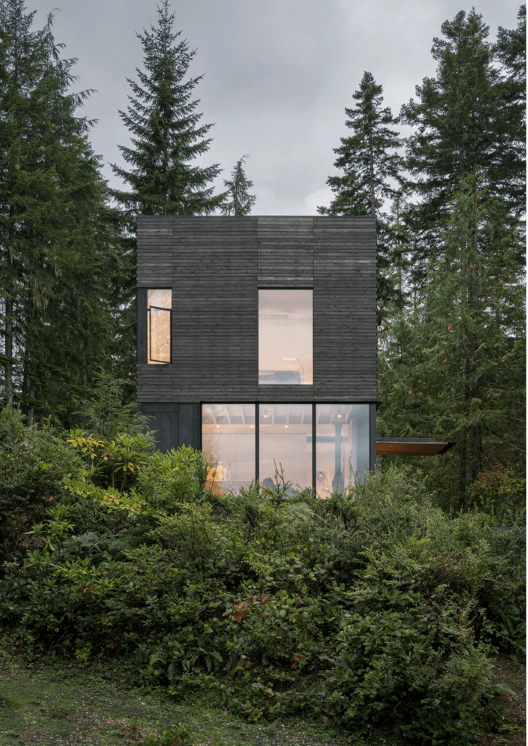 Дом в лесах штата Вашингтон